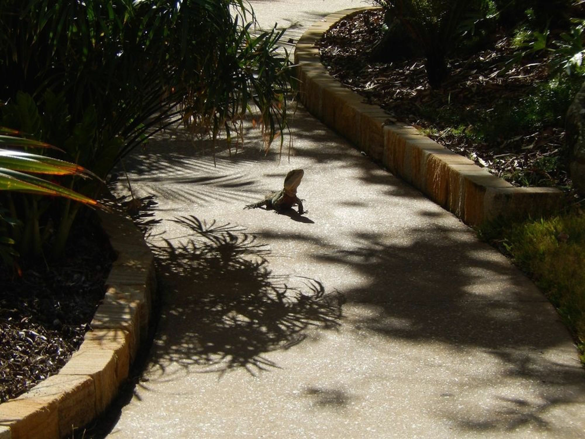 Golden Gate Resort Gold Coast Luaran gambar